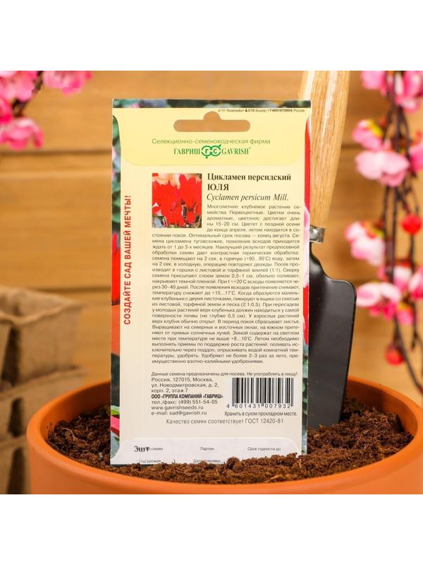 Семена цветов Цикламен 