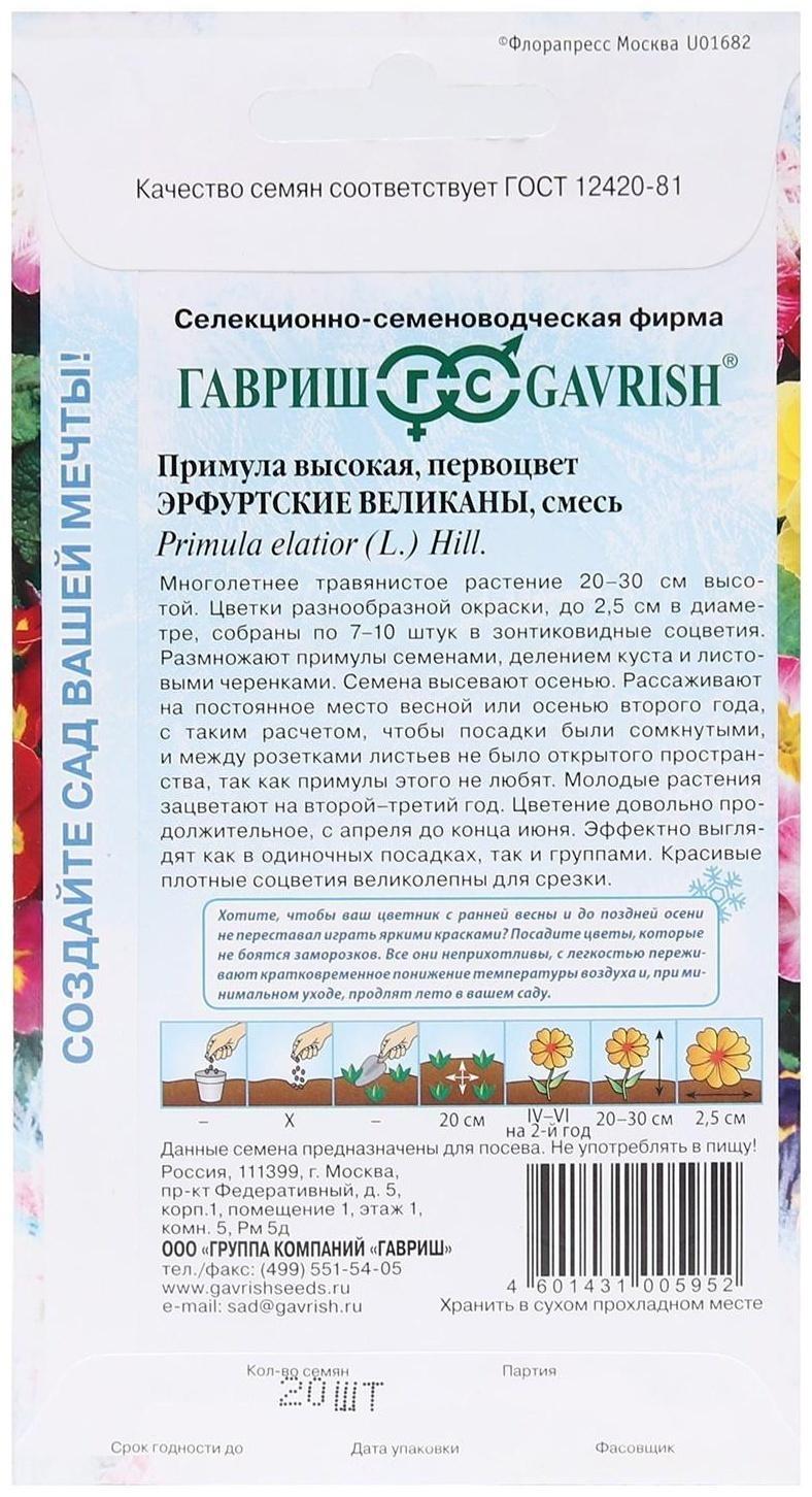 Семена цветов Примула 