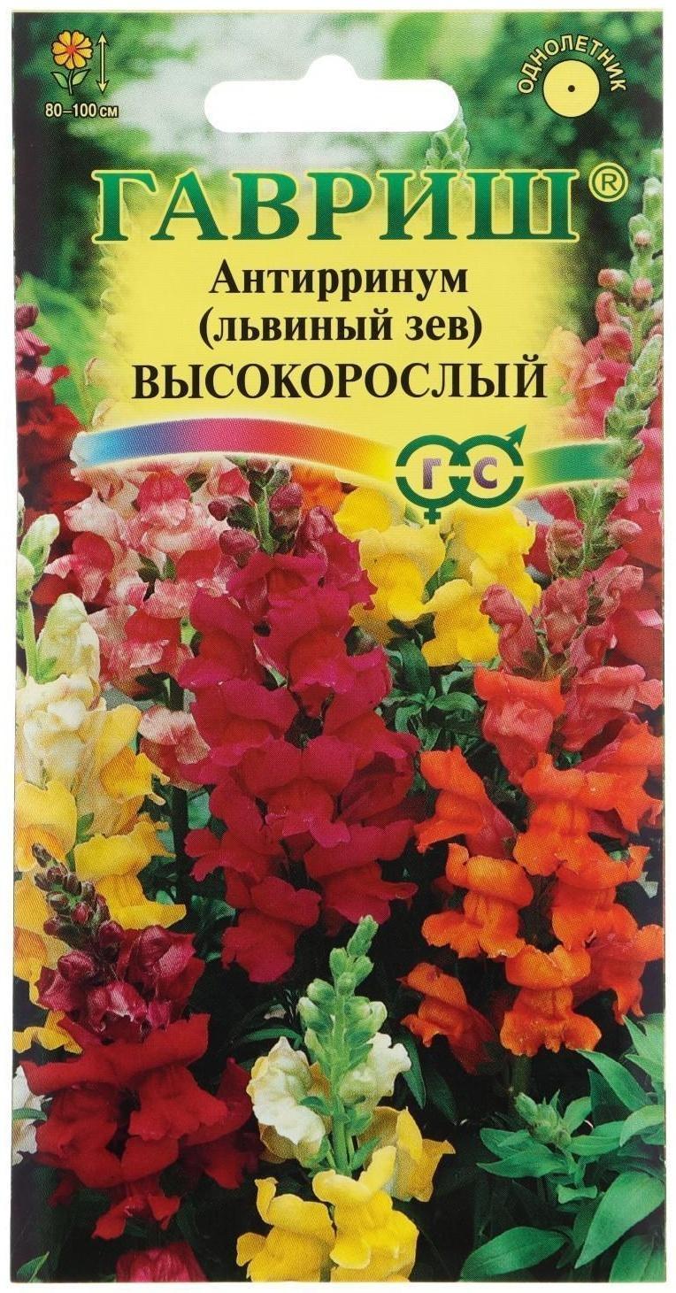 Семена цветов Антирринум (Львиный зев) 