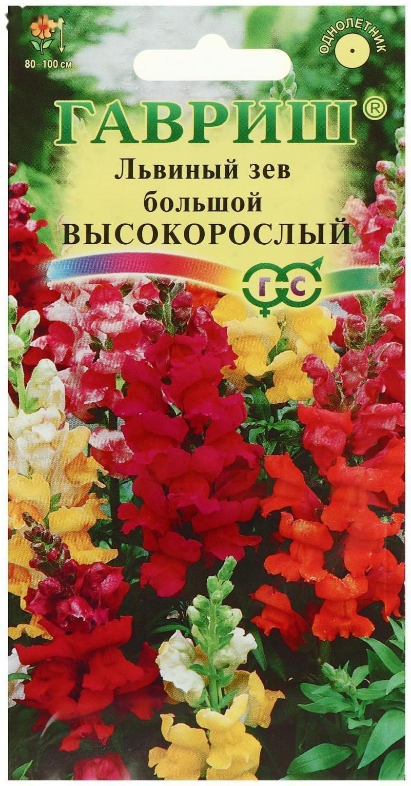 Семена цветов Антирринум (Львиный зев) 