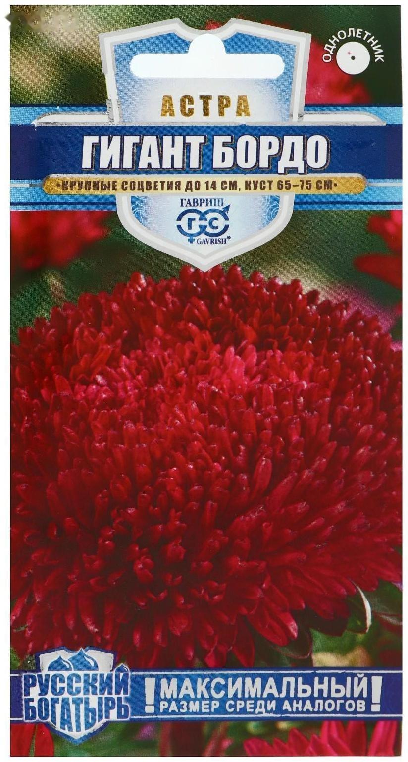 Семена цветов Астра 