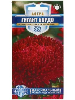 Семена цветов Астра 