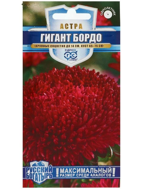 Семена цветов Астра 