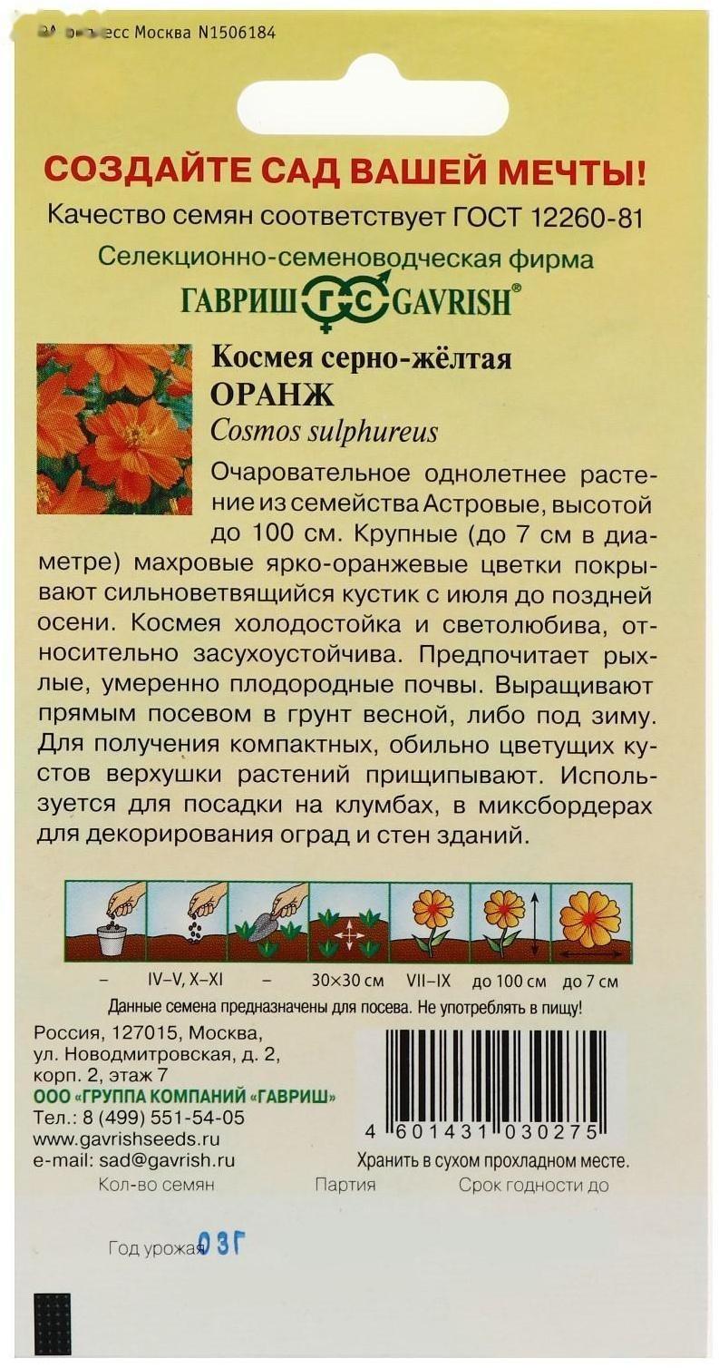 Семена цветов Космея 