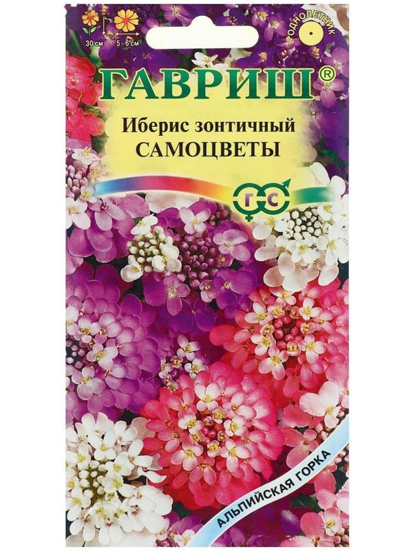 Семена цветов Иберис 