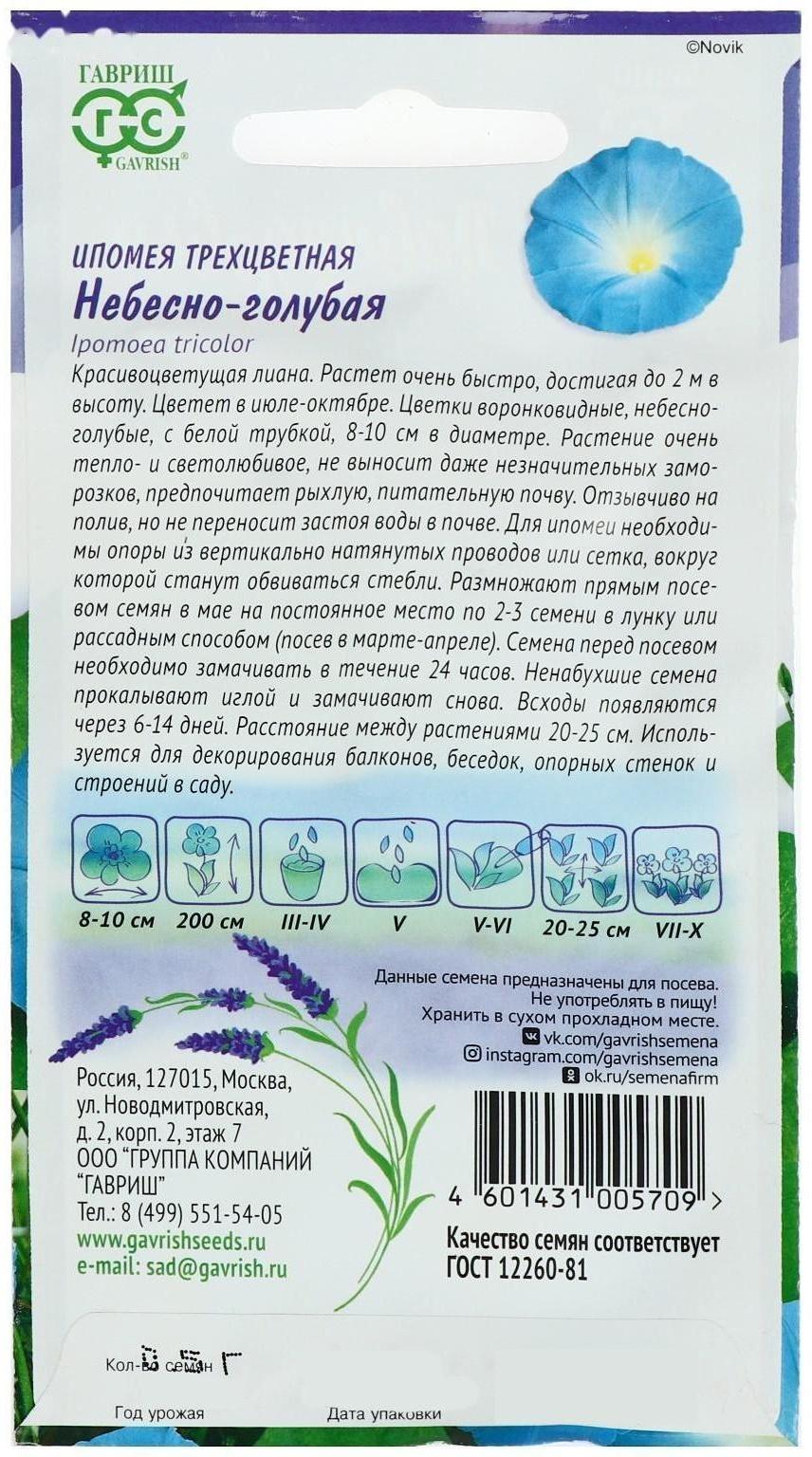 Семена цветов Ипомея 