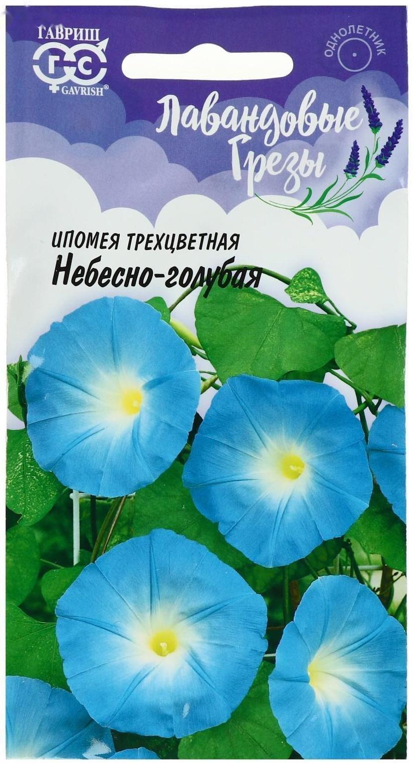 Семена цветов Ипомея 