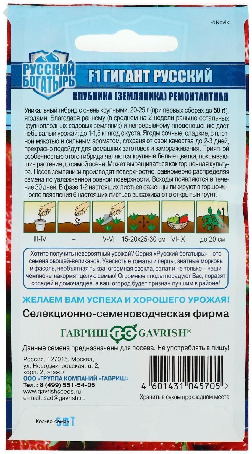 Семена Земляника 