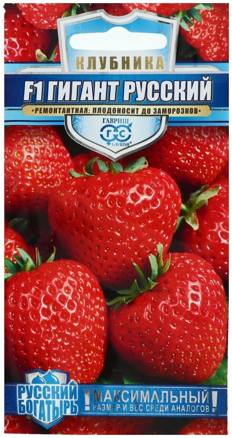 Семена Земляника 