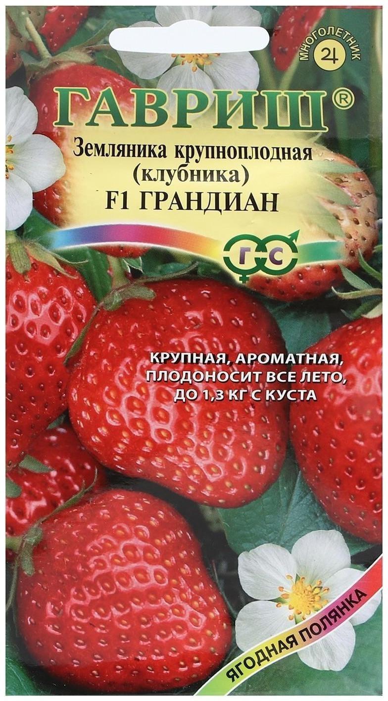 Семена Земляника 