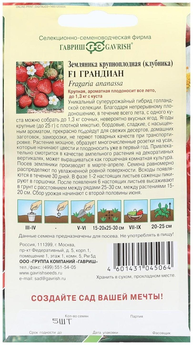 Семена Земляника 