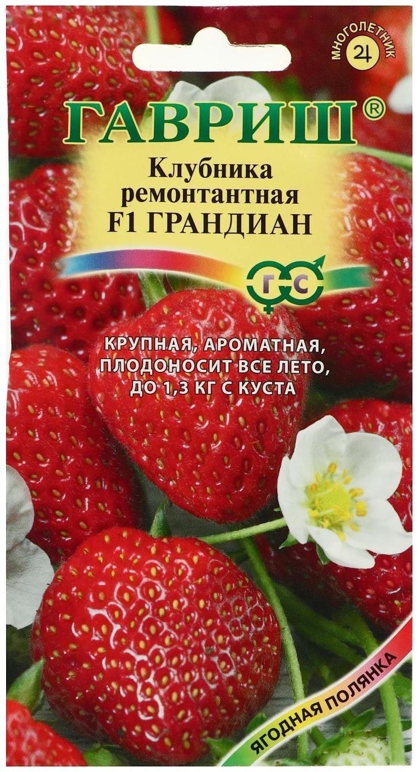 Семена Земляника 