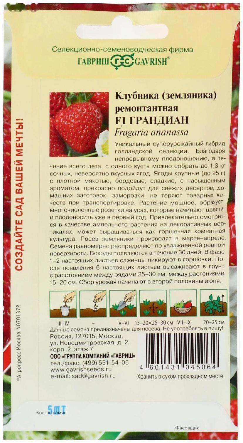 Семена Земляника 