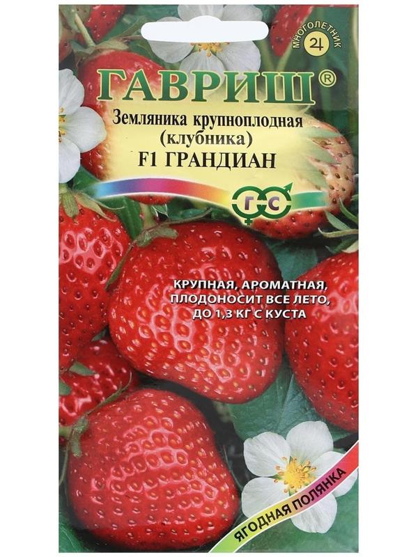 Семена Земляника 