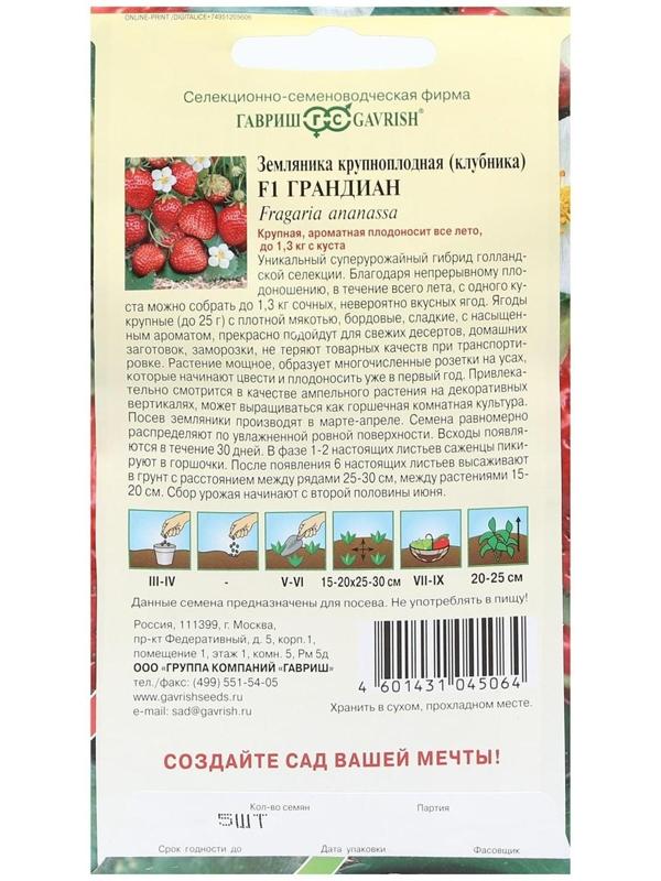 Семена Земляника 