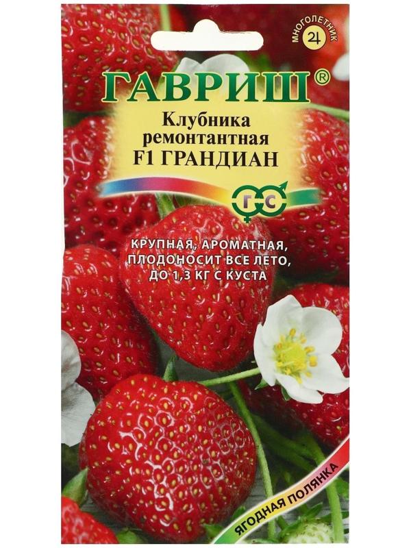 Семена Земляника 