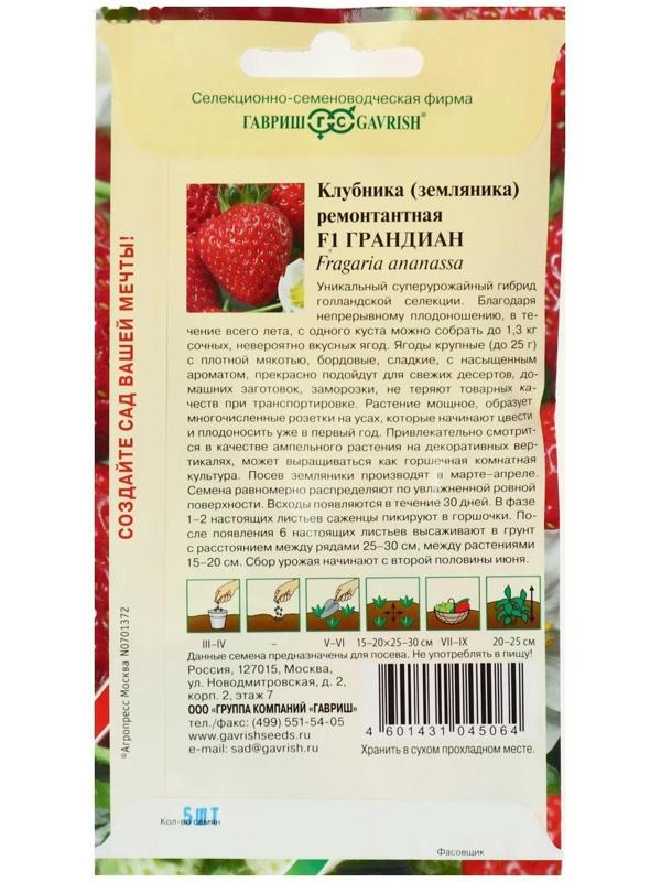 Семена Земляника 