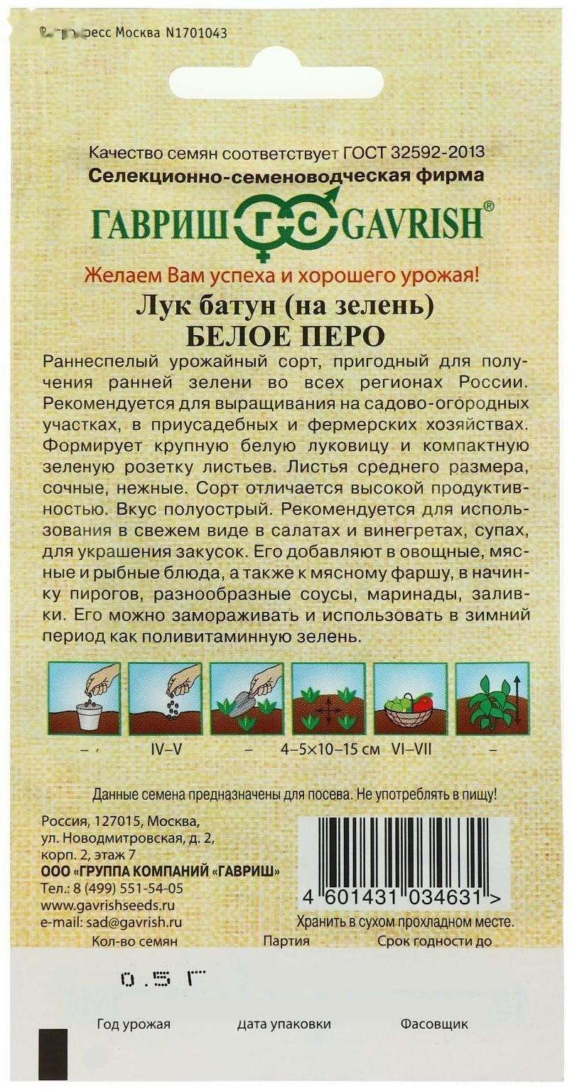 Семена Лук на зелень 