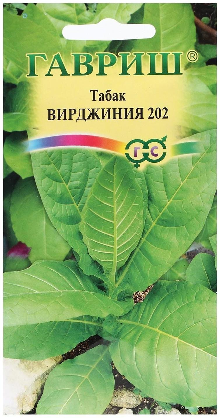 Семена Табак курительный 