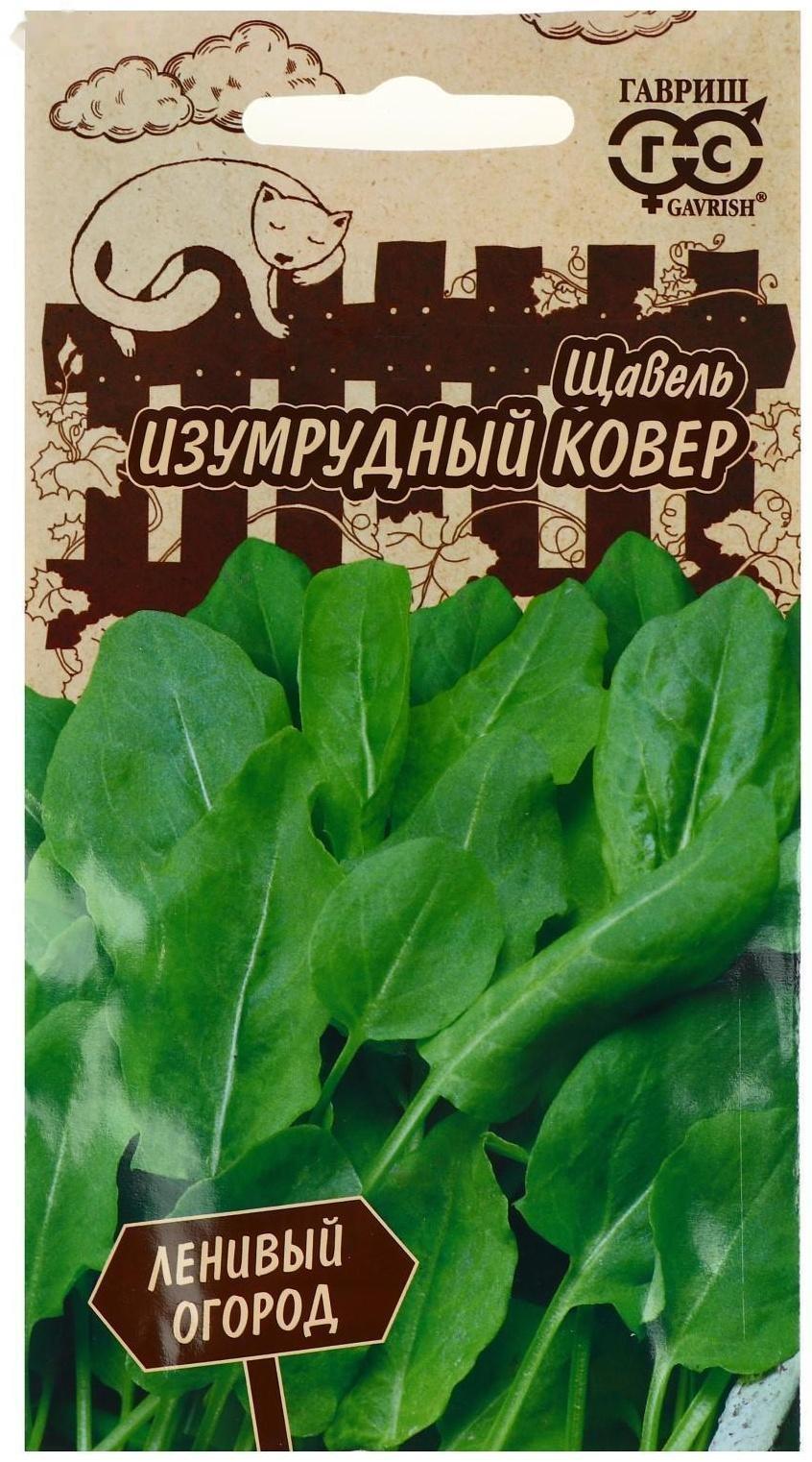 Семена Щавель 