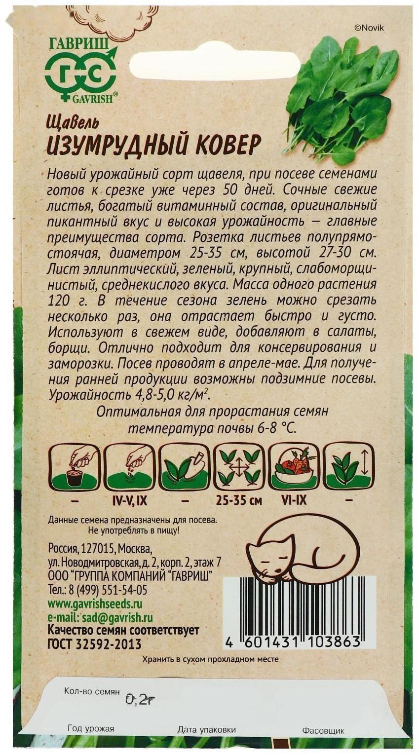 Семена Щавель 