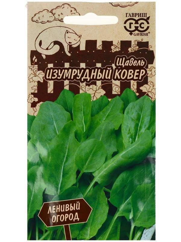 Семена Щавель 