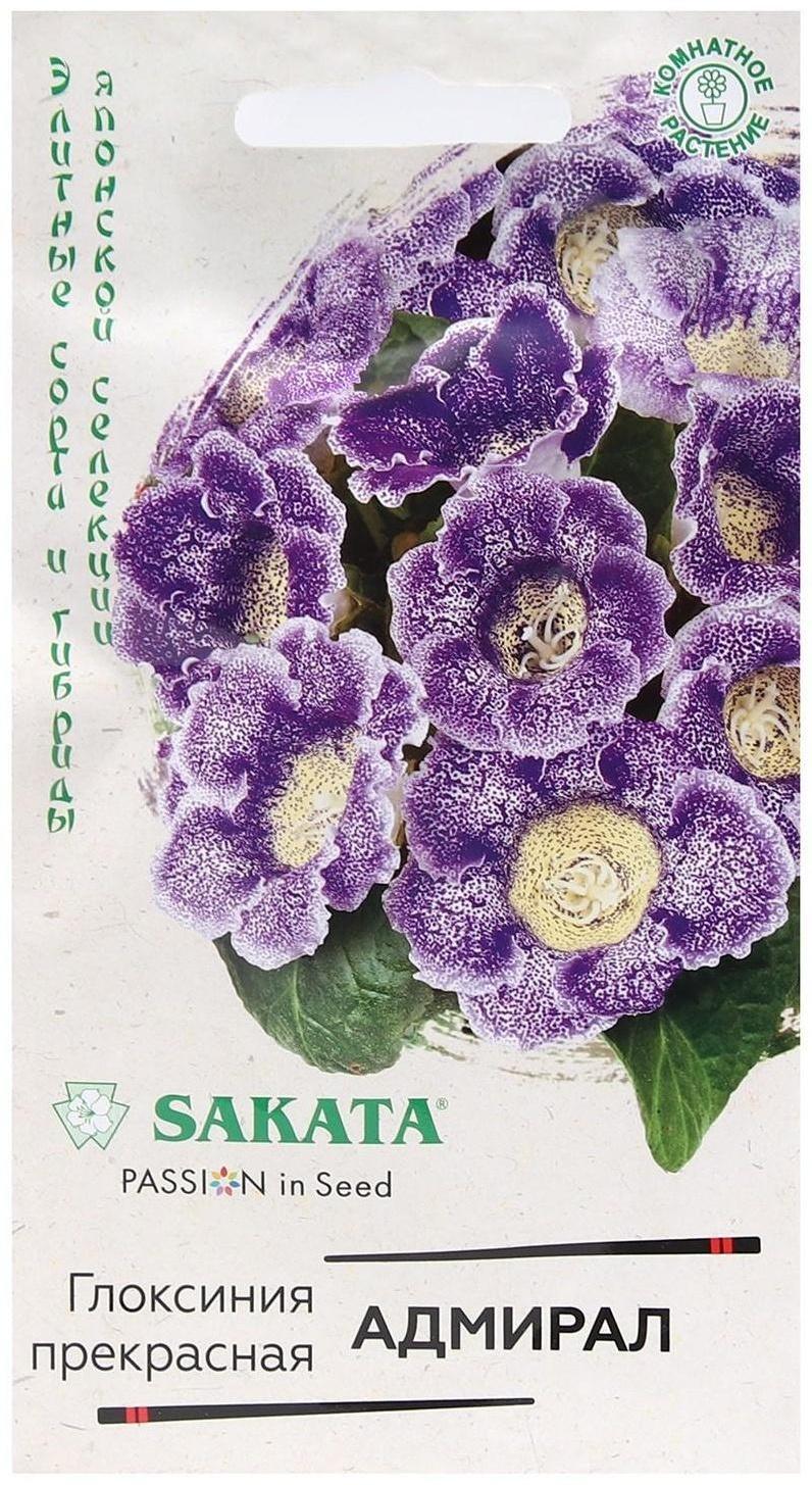 Семена цветов Глоксиния 