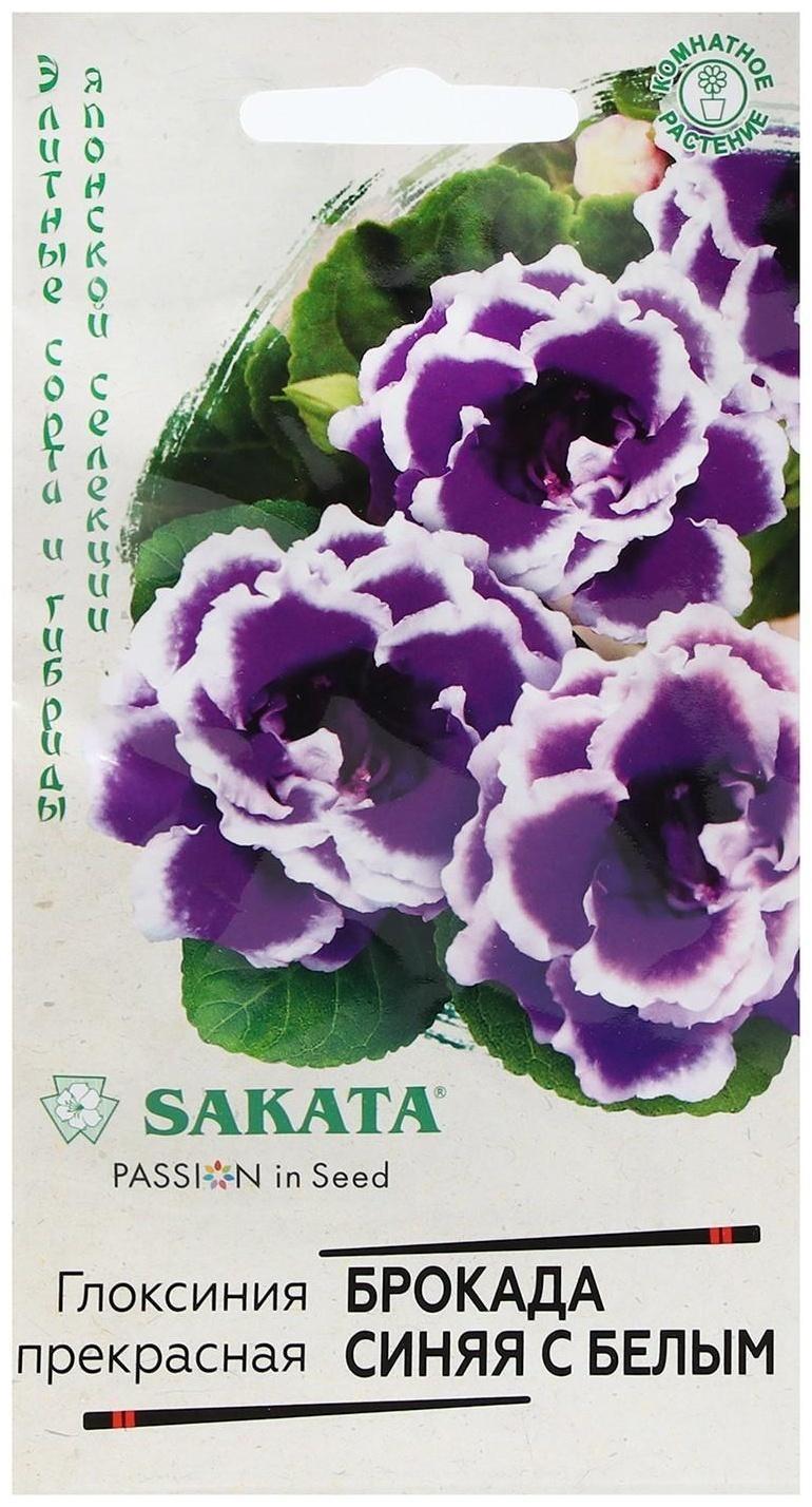 Семена цветов Глоксиния 