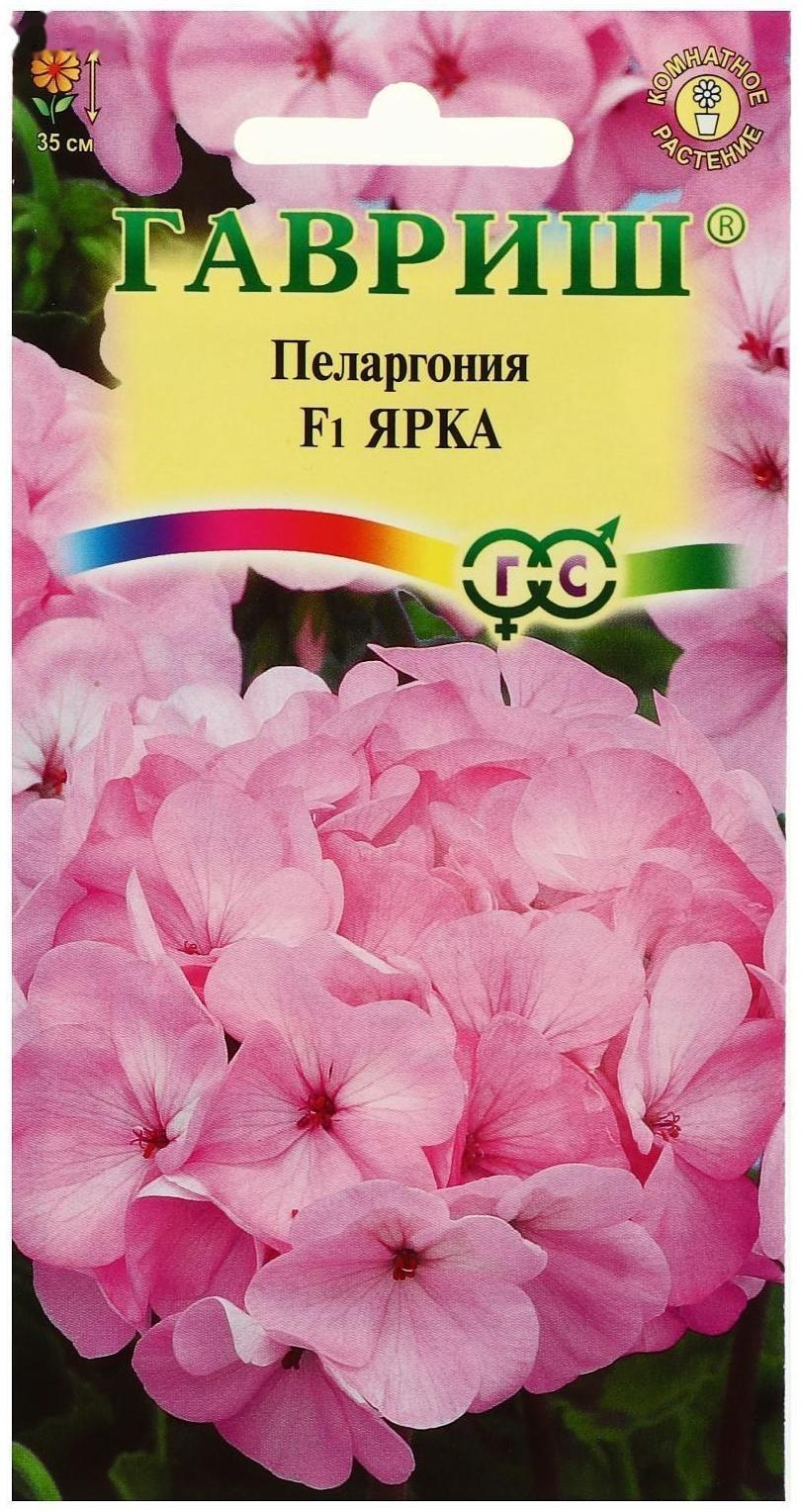 Семена цветов Пеларгония 