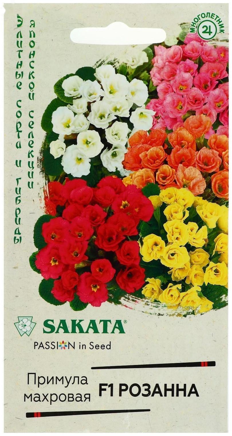 Семена цветов Примула 