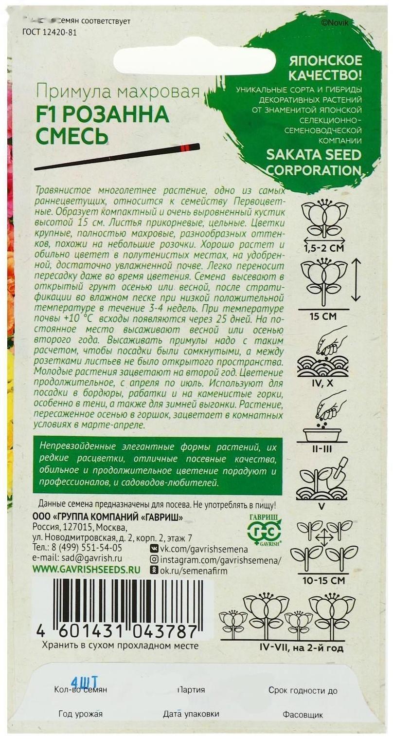 Семена цветов Примула 