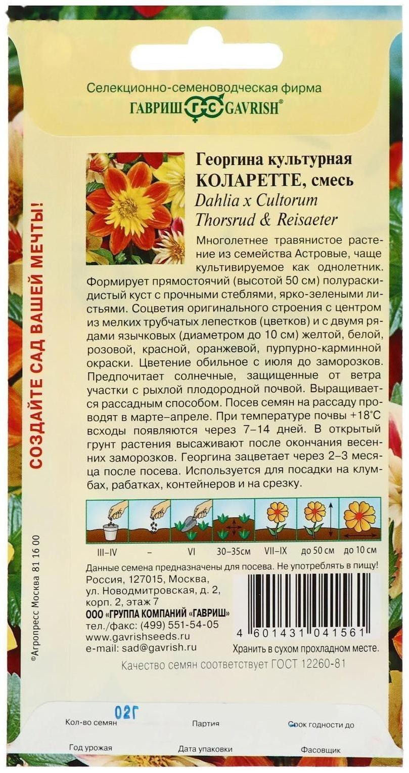 Семена цветов Георгина 