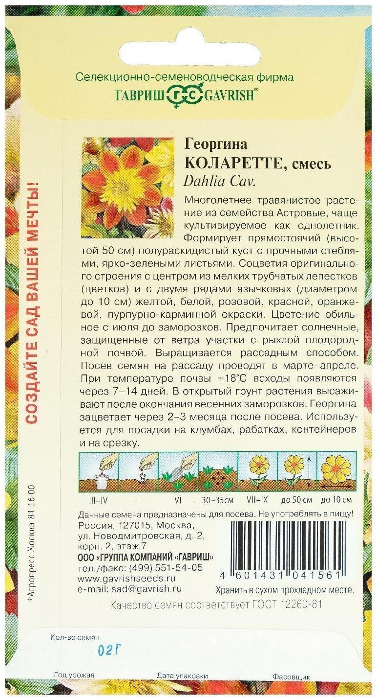 Семена цветов Георгина 