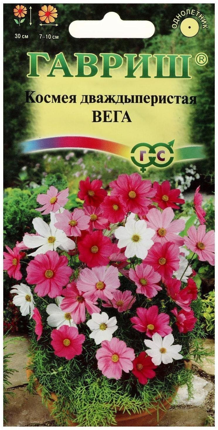 Семена цветов Космея 