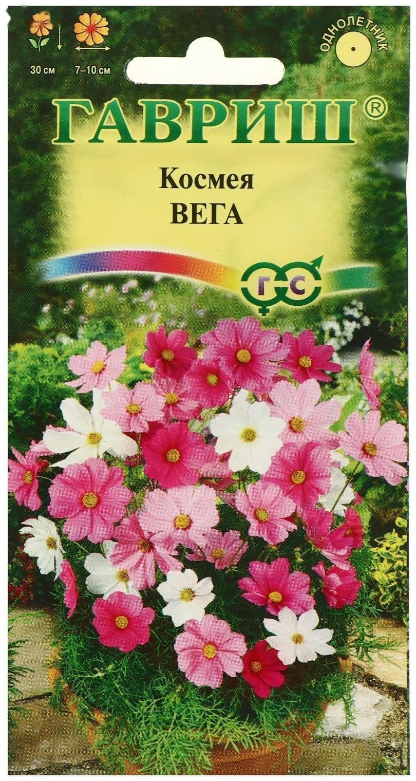 Семена цветов Космея 