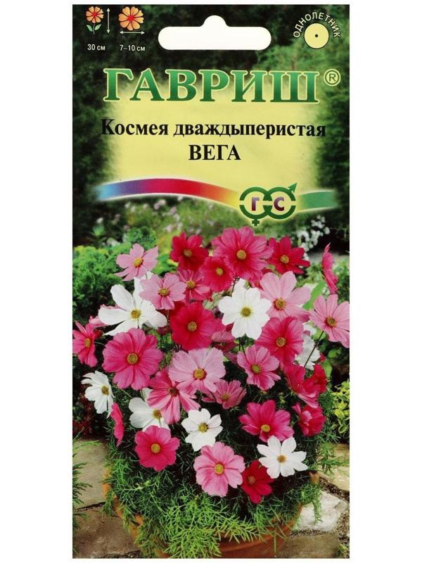 Семена цветов Космея 