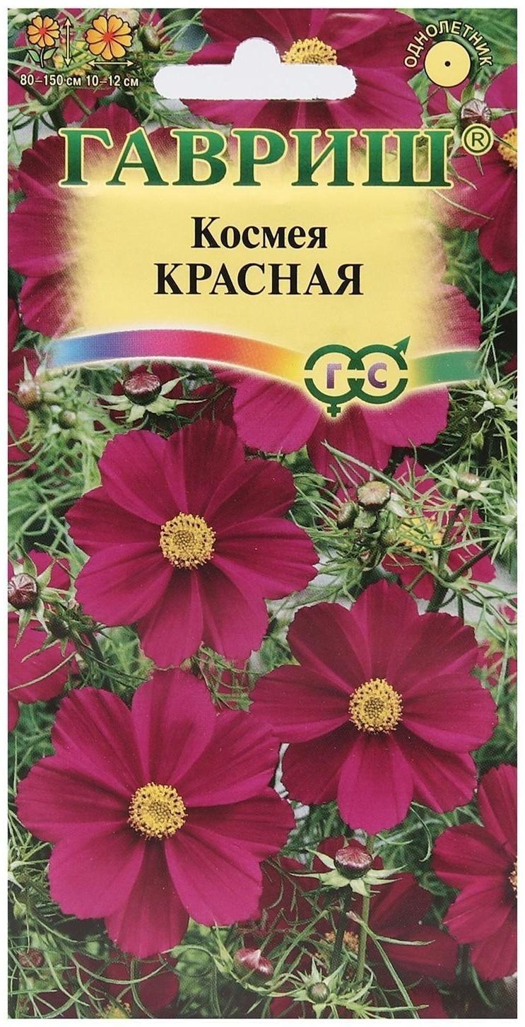 Семена цветов Космея 