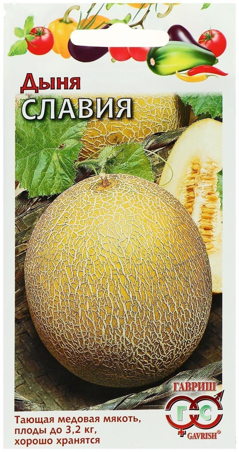 Семена Дыня 