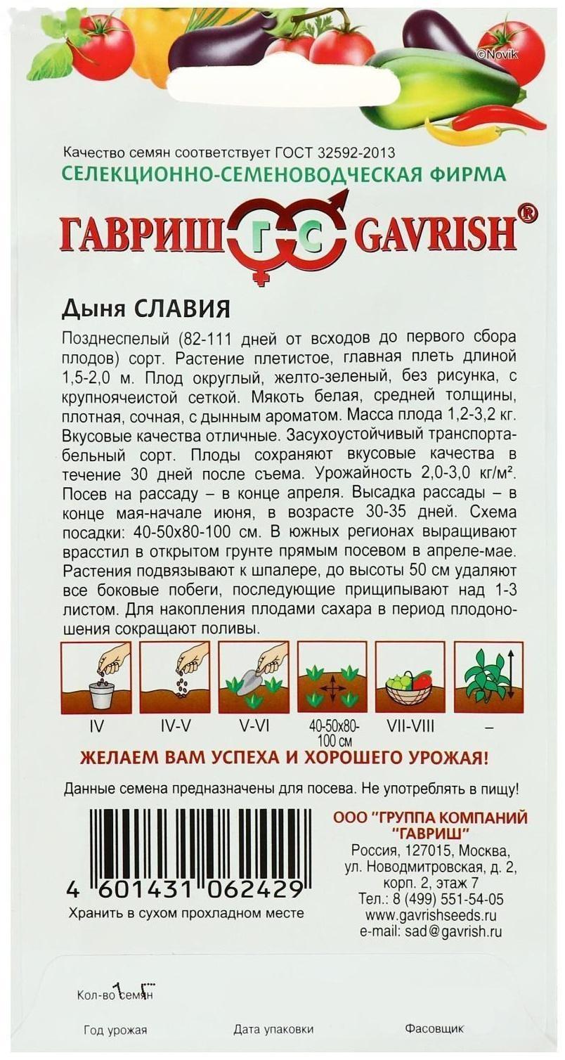 Семена Дыня 