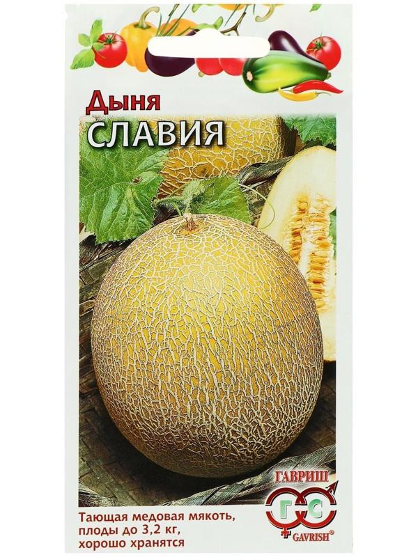Семена Дыня 