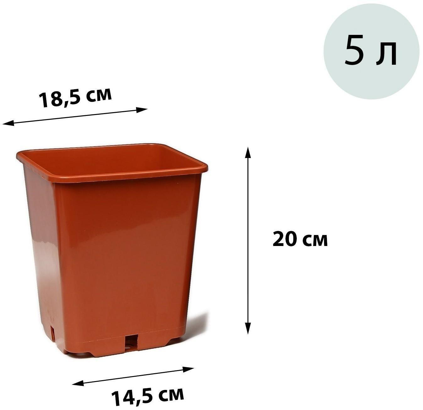 Горшок для рассады, 5 л, 18,5 × 18,5 × 20 см, терракотовый, Greengo