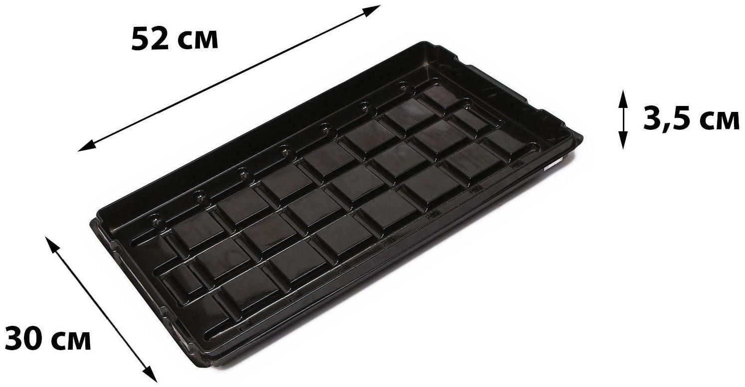 Поддон для рассады, 52 × 31 × 3,5 см, пластик, чёрный