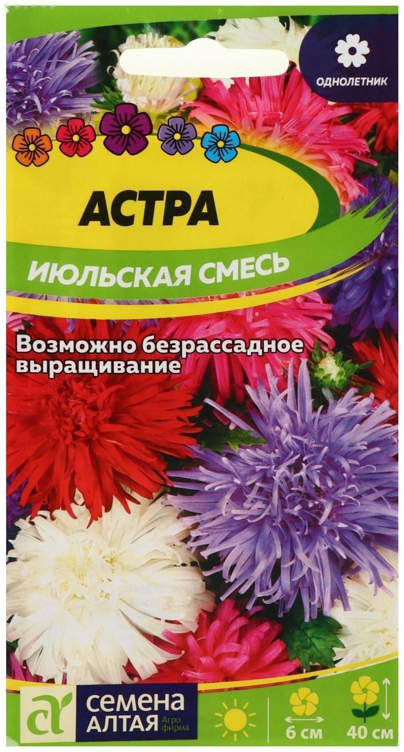 Семена цветов Астра 