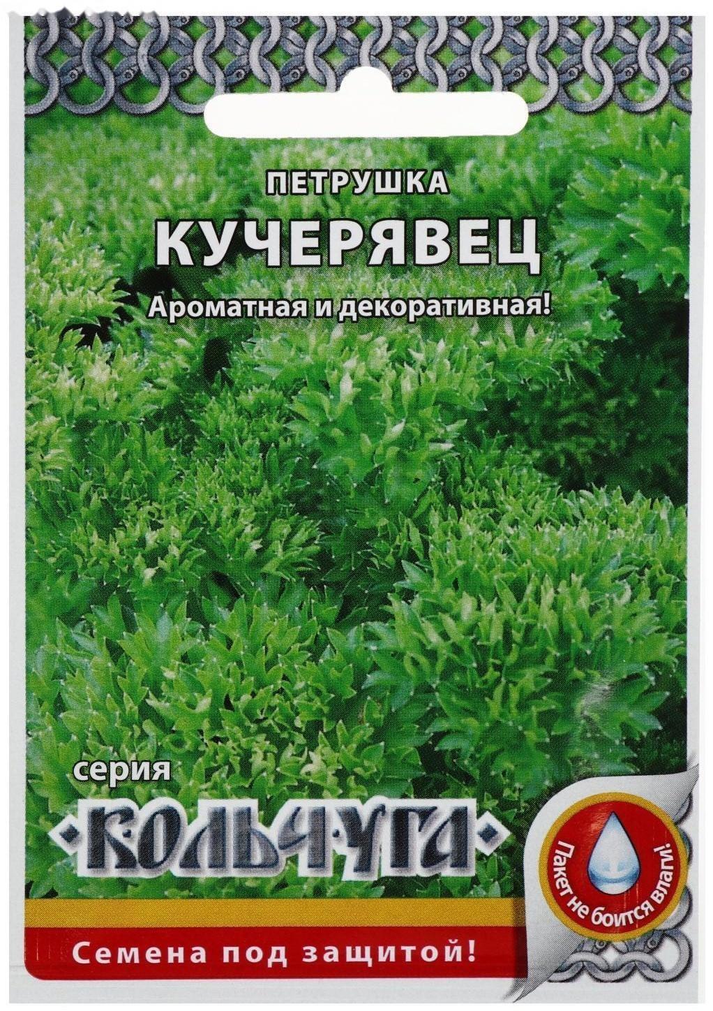 Семена Петрушка листовая 