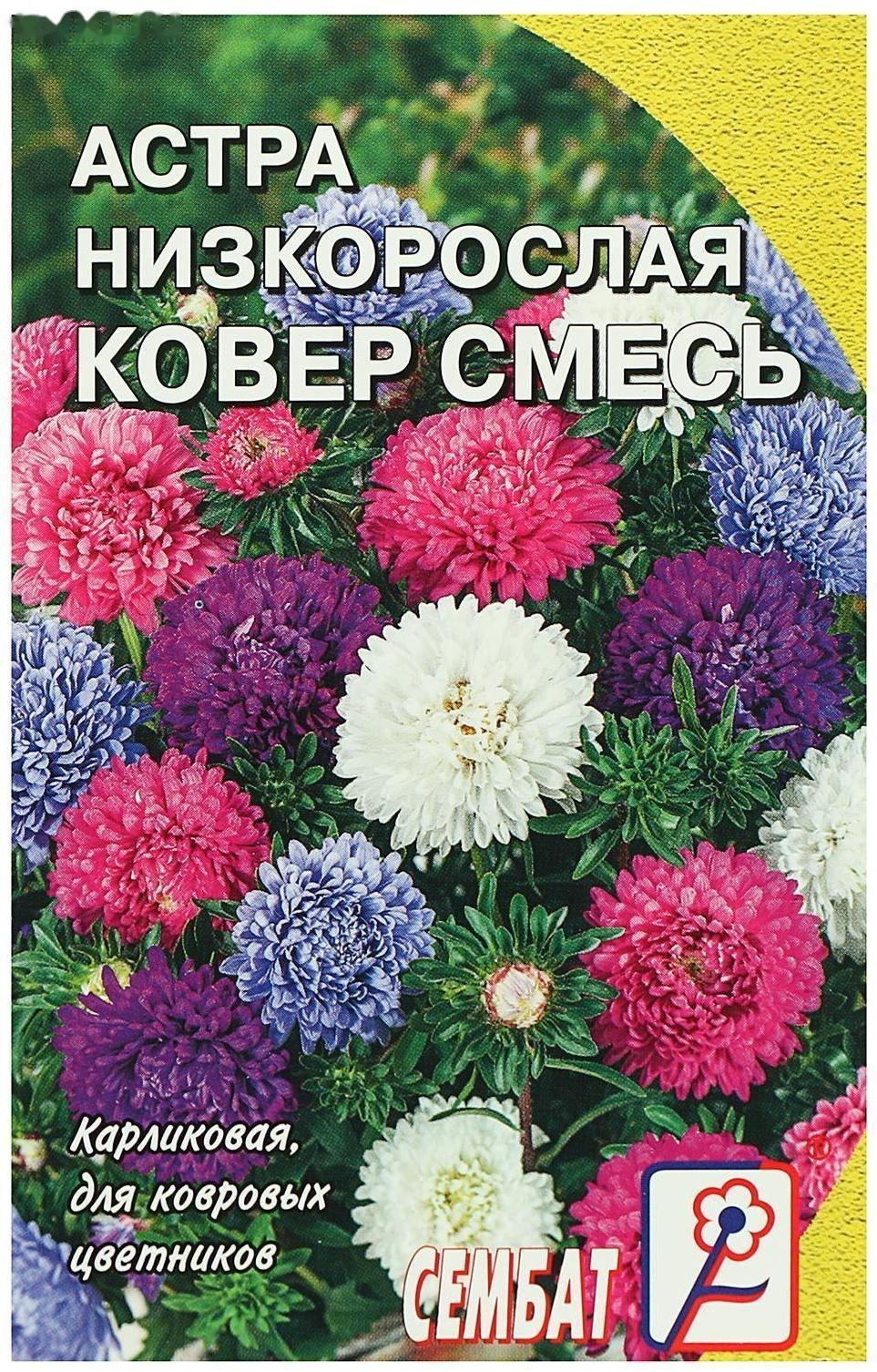 Семена цветов Астра 