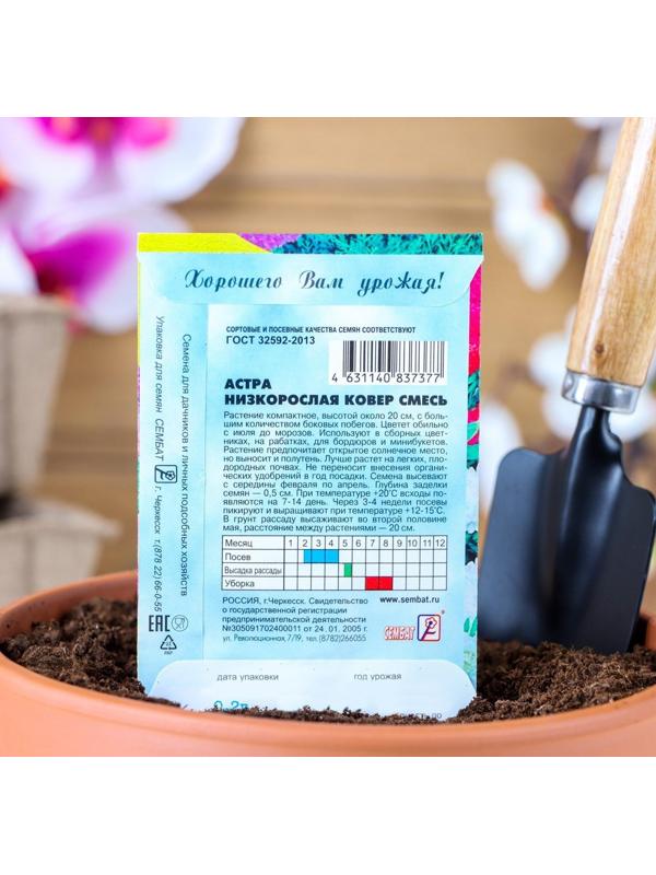 Семена цветов Астра 