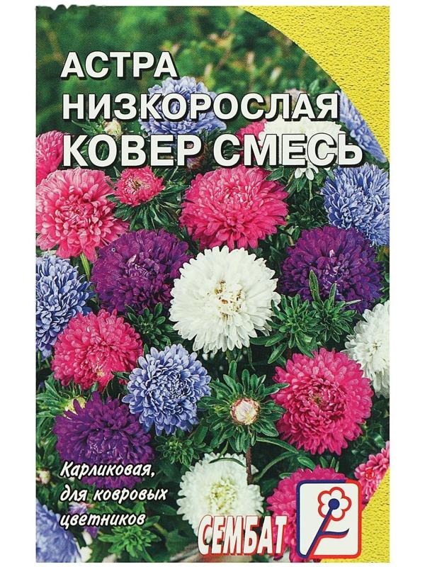 Семена цветов Астра 