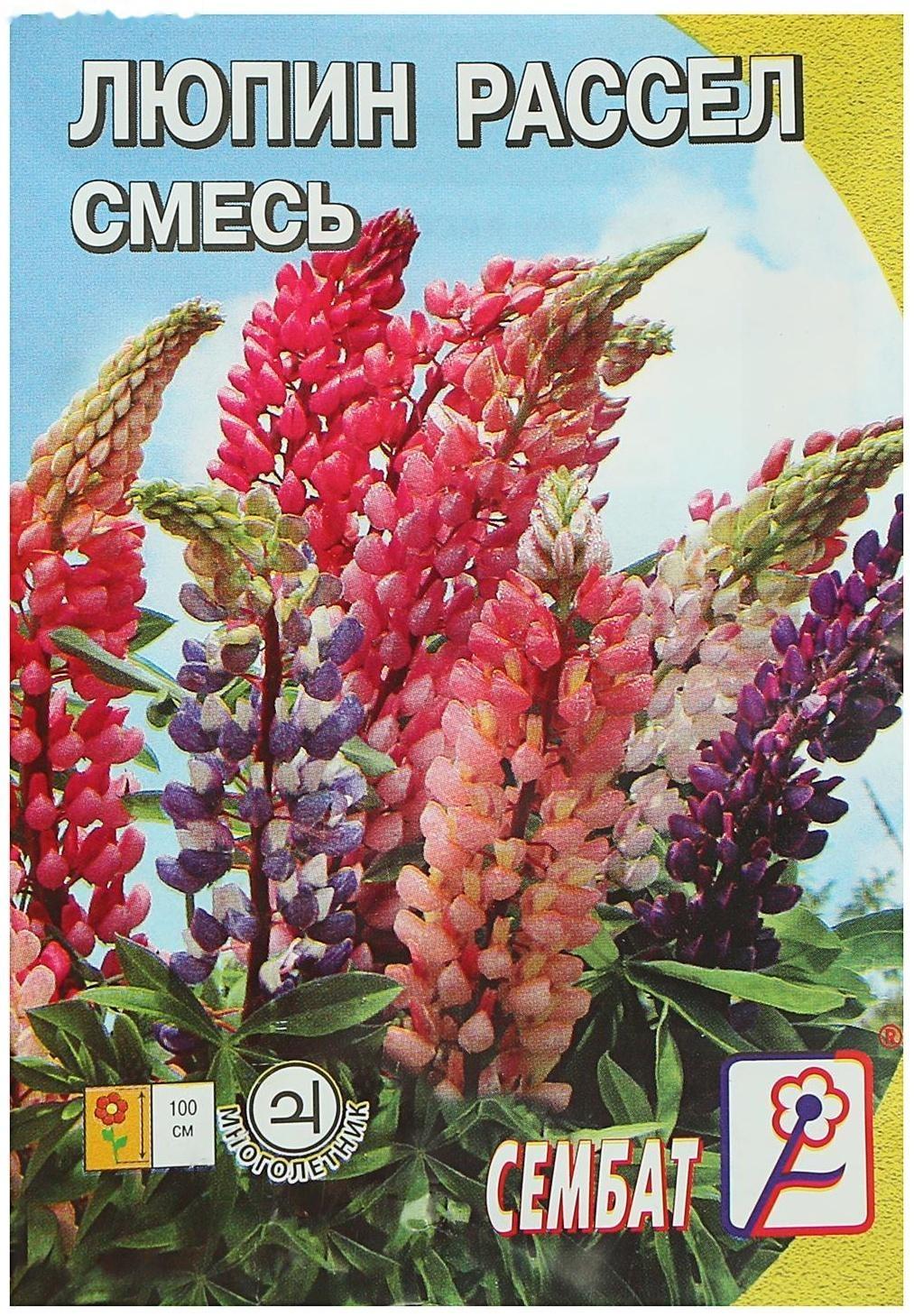 Семена цветов Люпин 