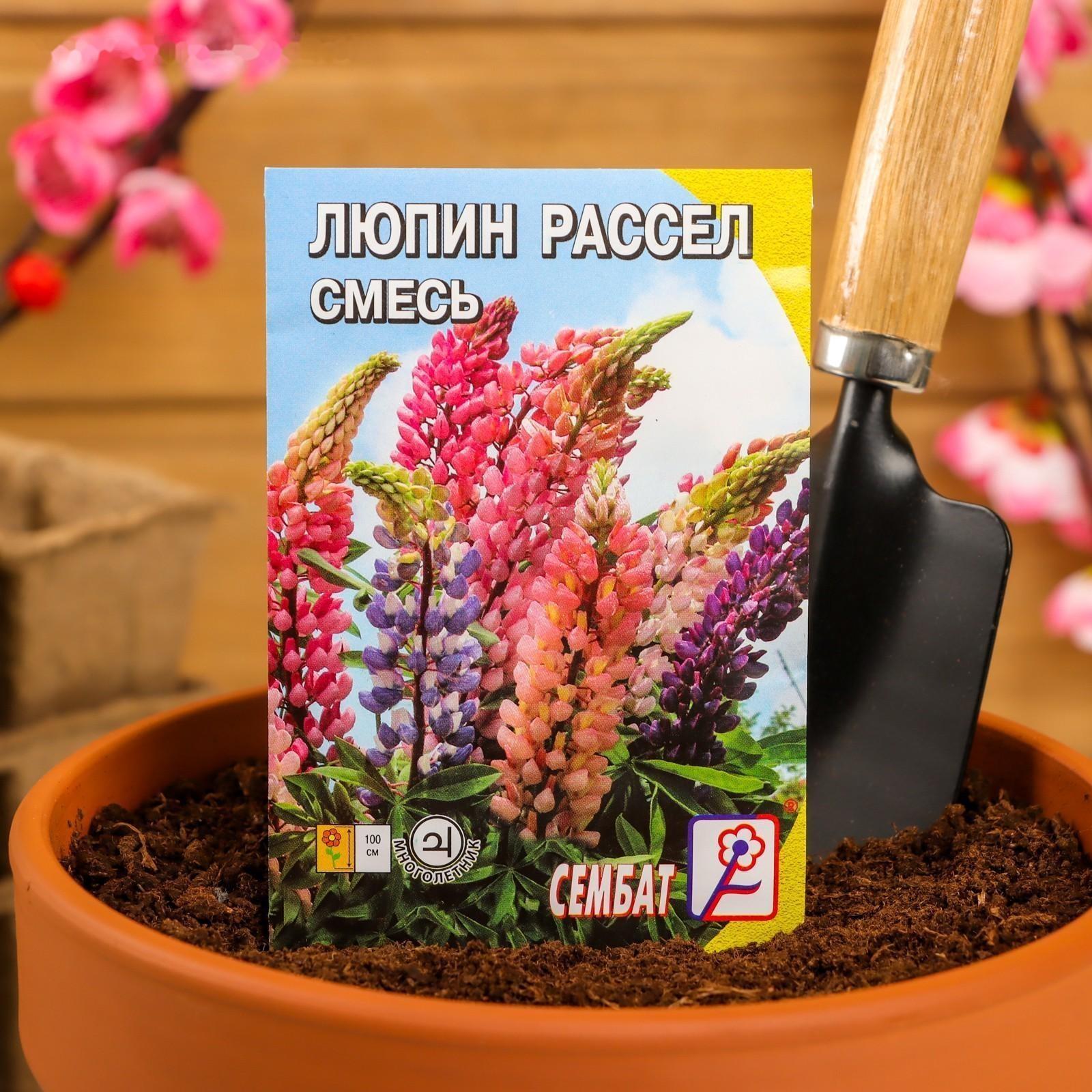 Семена цветов Люпин 