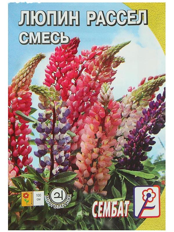 Семена цветов Люпин 
